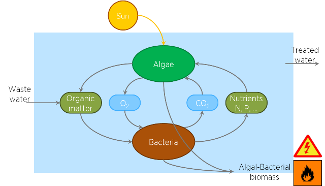 ALBA process